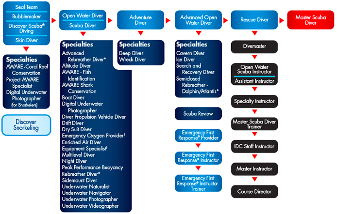 padi-chart